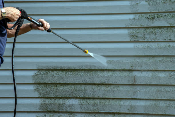 Best Brick and Stone Cleaning in Burlington, VT