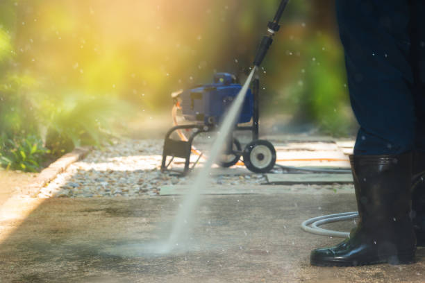 Best Roof Cleaning and Mildew Removal in Burlington, VT